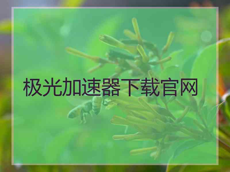 极光加速器下载官网