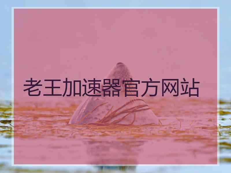 老王加速器官方网站