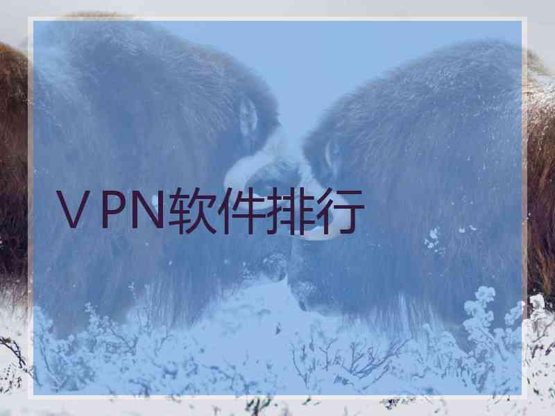 ⅤPN软件排行