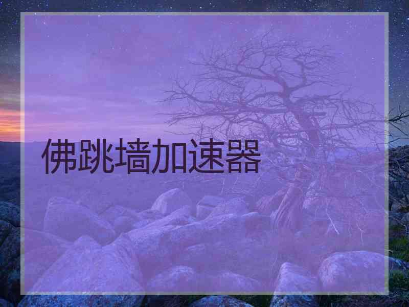 佛跳墙加速器