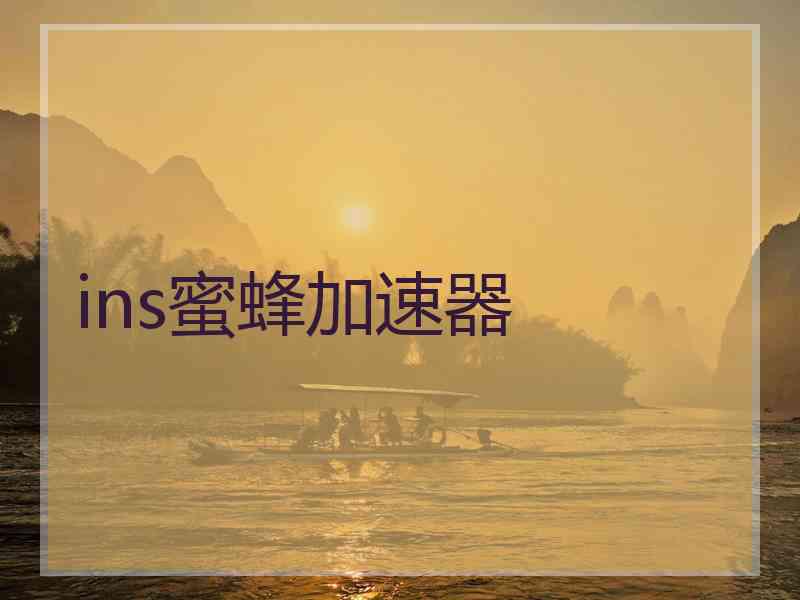 ins蜜蜂加速器