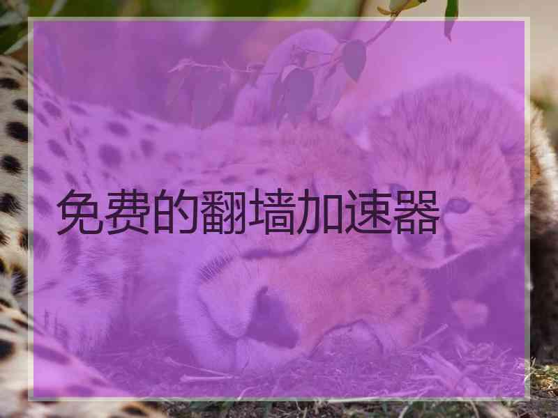 免费的翻墙加速器