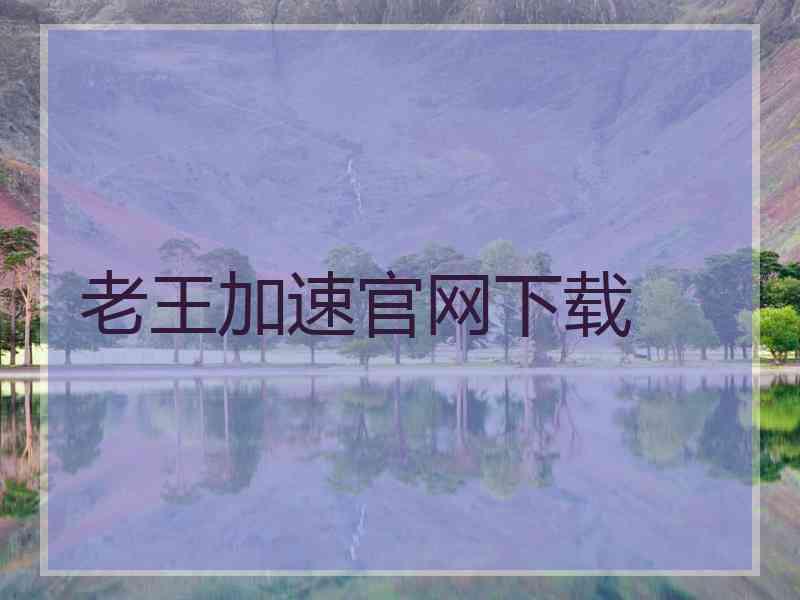老王加速官网下载