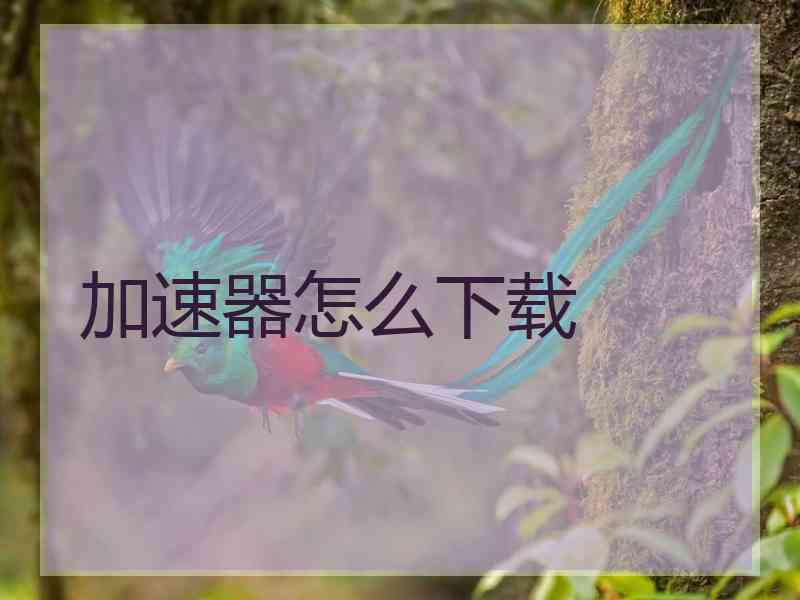加速器怎么下载