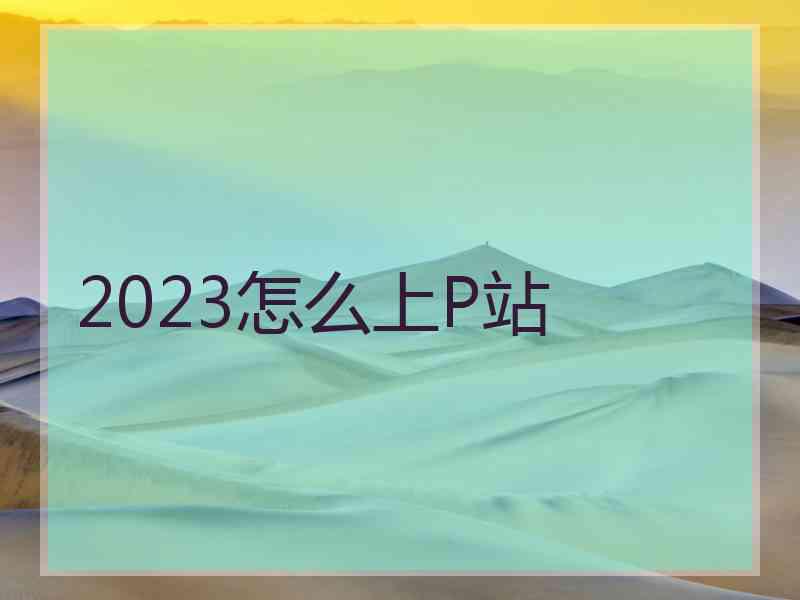 2023怎么上P站