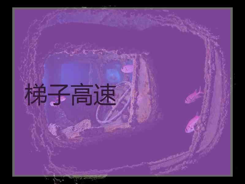 梯子高速