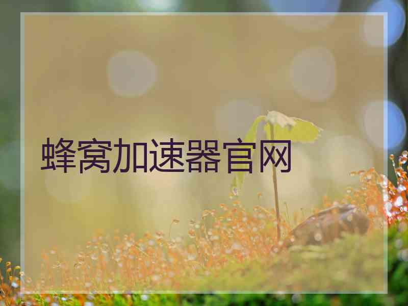 蜂窝加速器官网