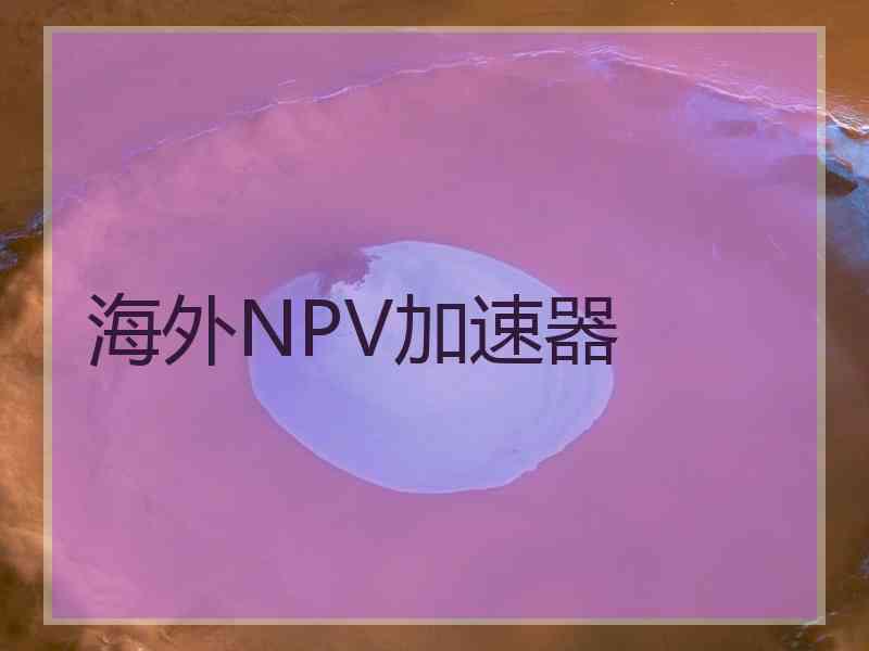 海外NPV加速器