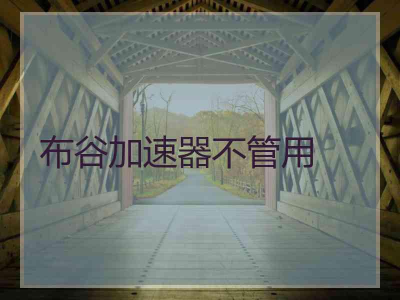 布谷加速器不管用