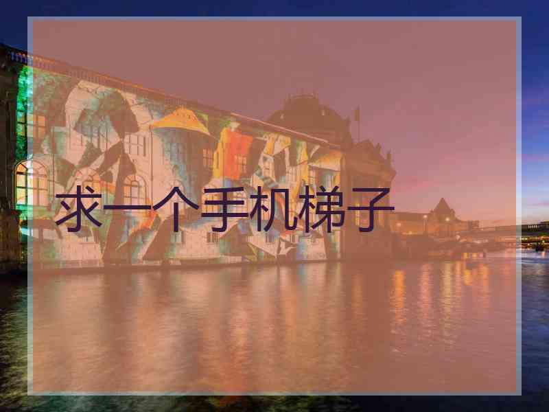 求一个手机梯子