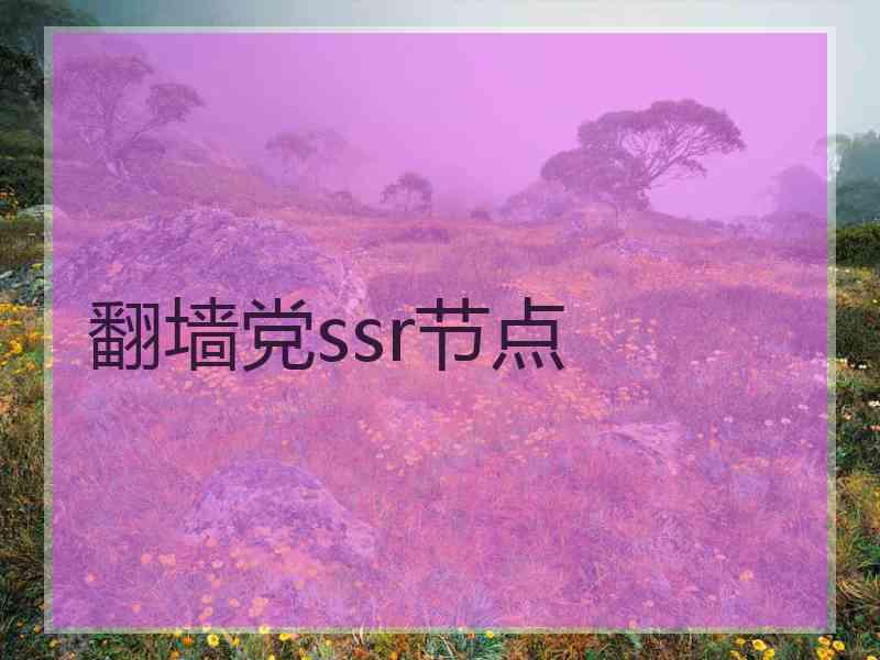 翻墙党ssr节点
