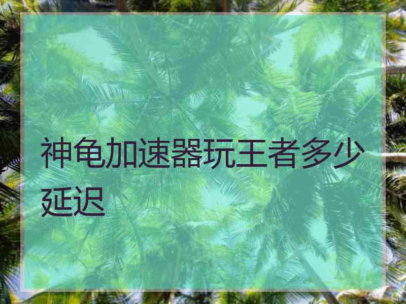 神龟加速器玩王者多少延迟