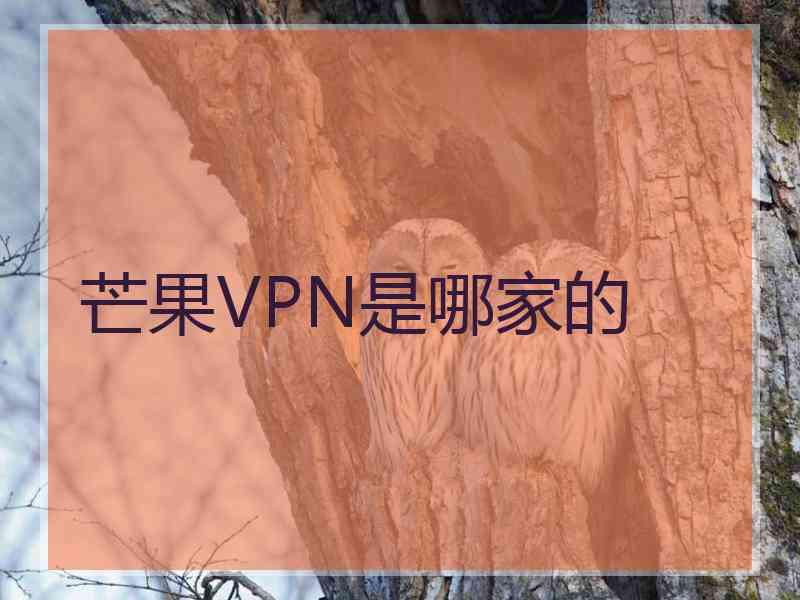 芒果VPN是哪家的