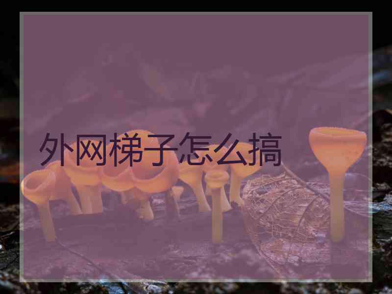 外网梯子怎么搞