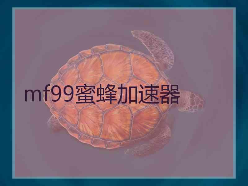 mf99蜜蜂加速器