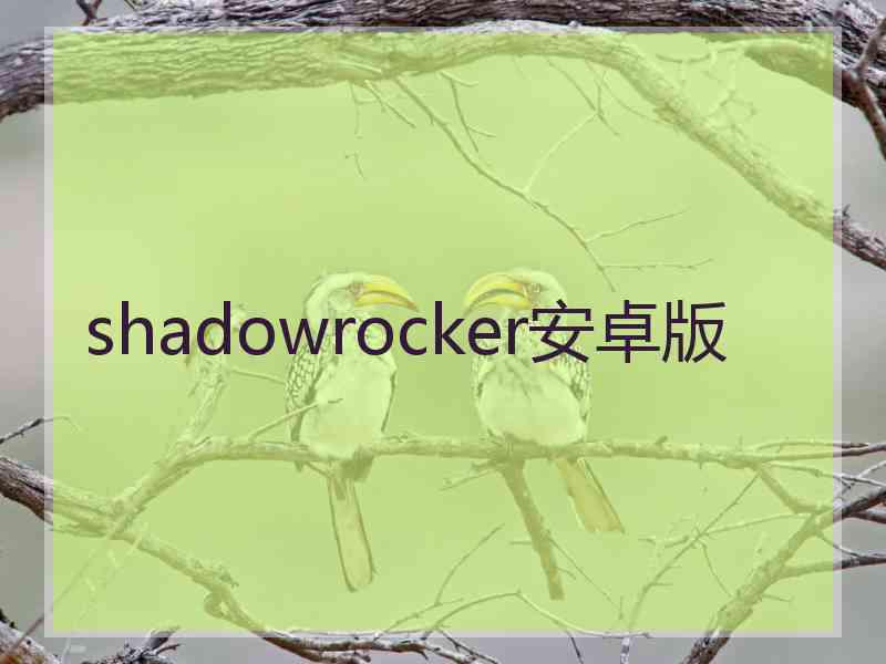 shadowrocker安卓版