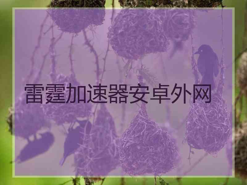 雷霆加速器安卓外网