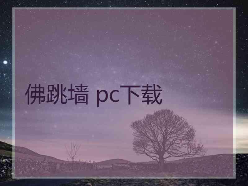 佛跳墙 pc下载