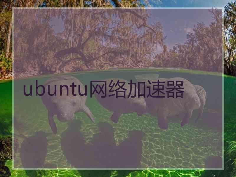 ubuntu网络加速器