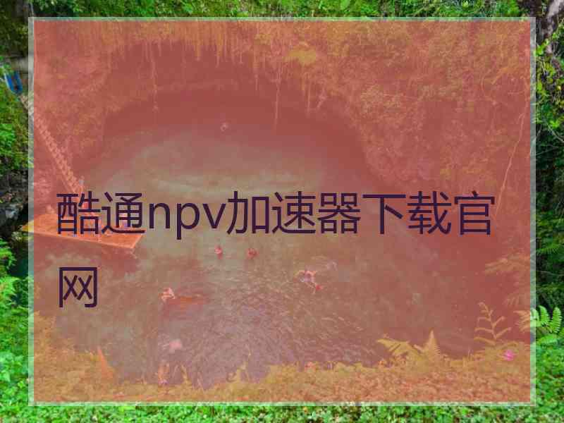 酷通npv加速器下载官网