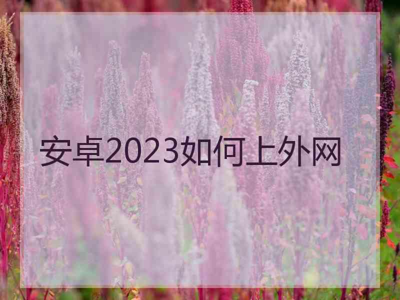安卓2023如何上外网