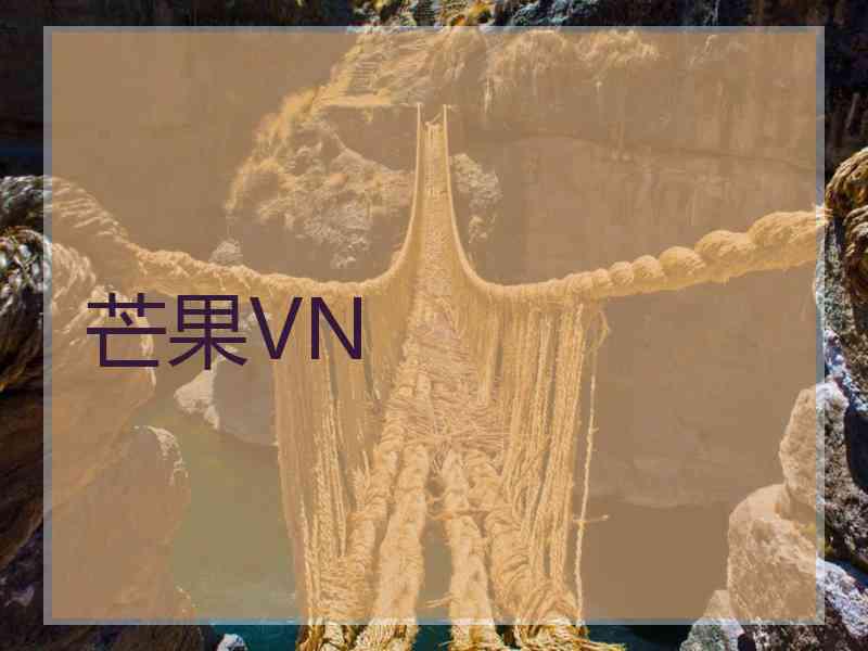 芒果VN