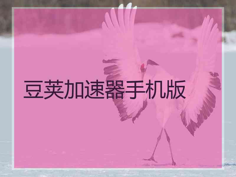 豆荚加速器手机版