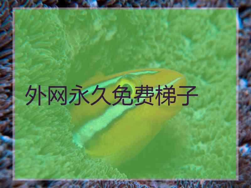 外网永久免费梯子