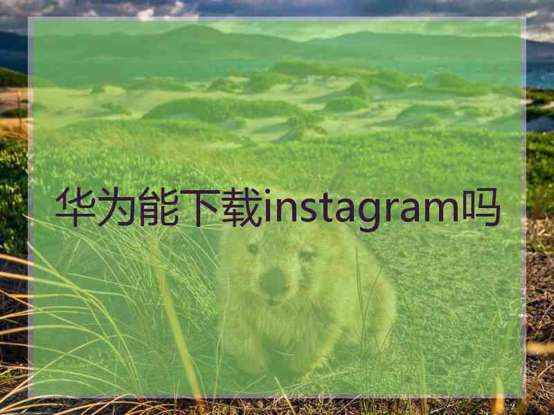 华为能下载instagram吗