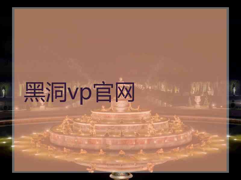黑洞vp官网