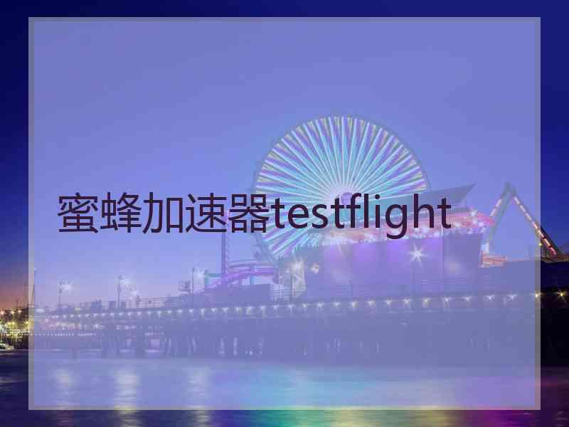 蜜蜂加速器testflight