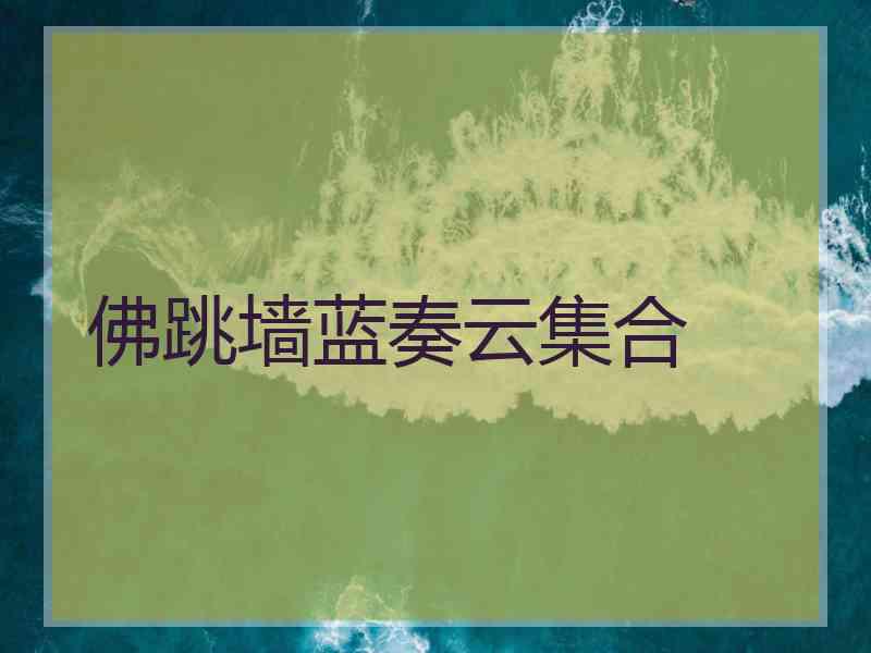 佛跳墙蓝奏云集合