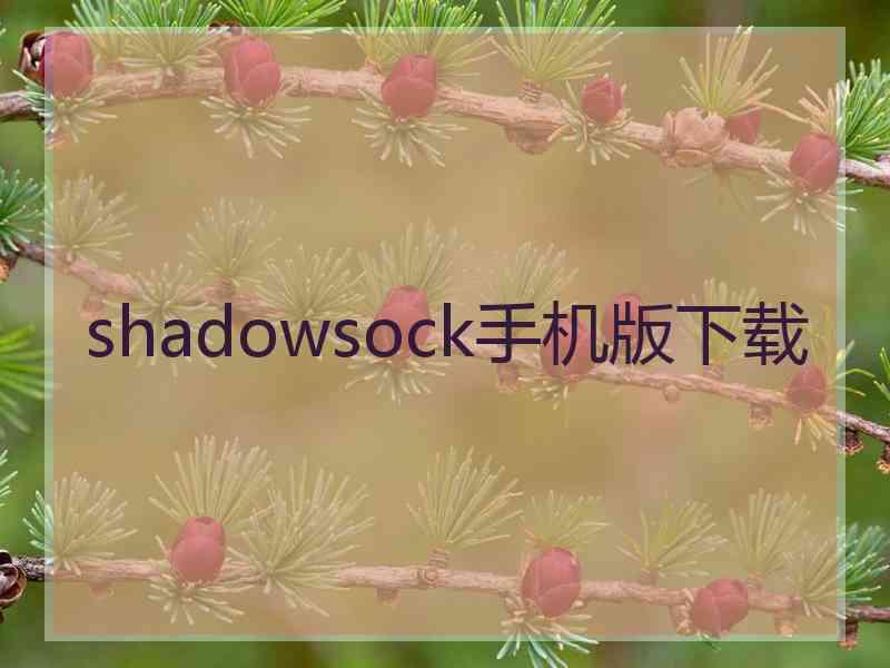shadowsock手机版下载