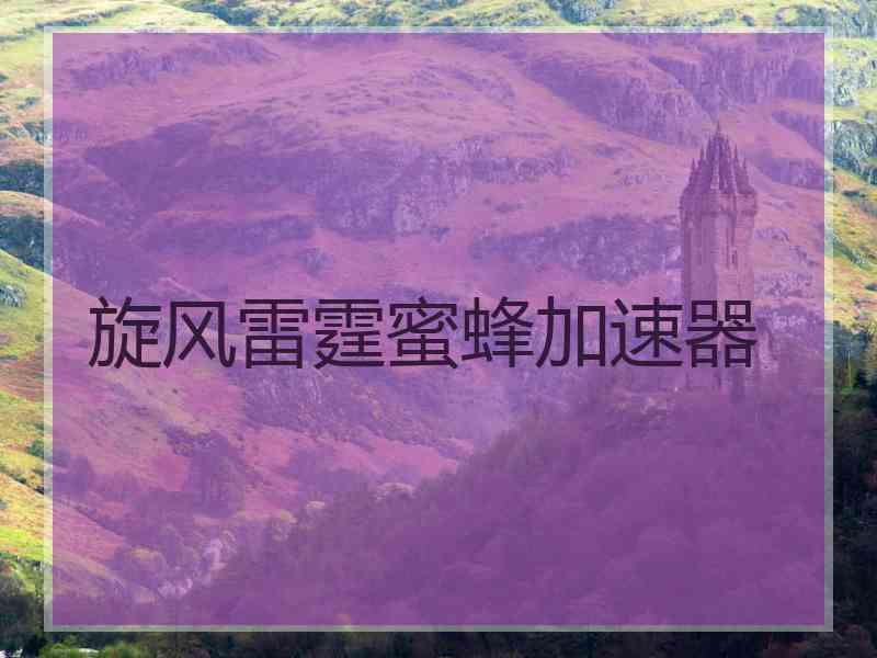 旋风雷霆蜜蜂加速器