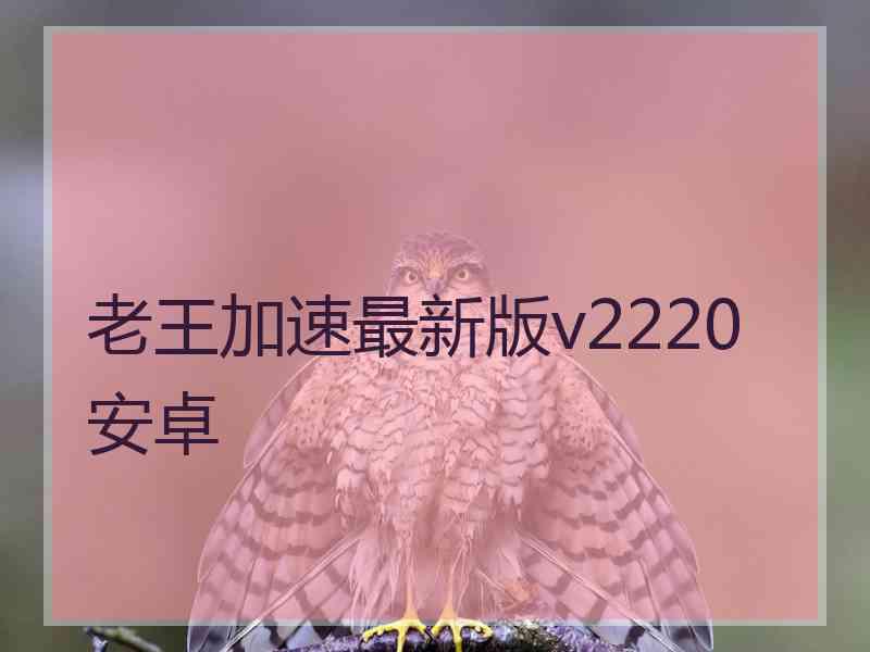 老王加速最新版v2220安卓