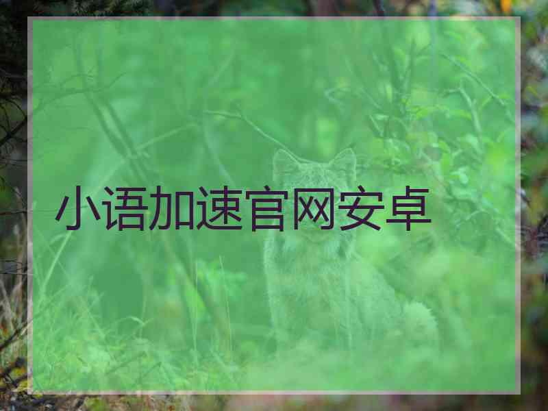 小语加速官网安卓