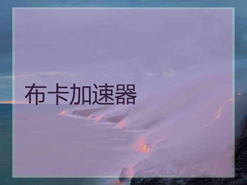 布卡加速器