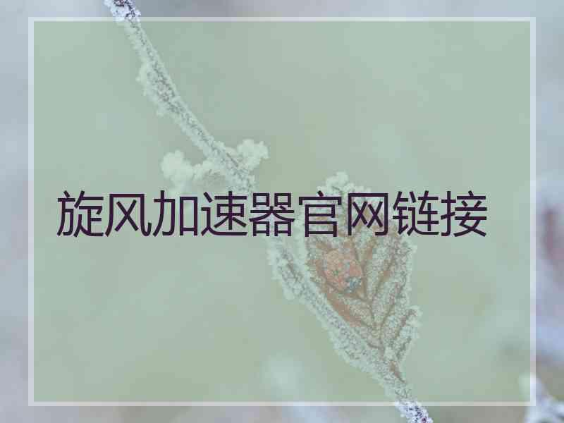 旋风加速器官网链接