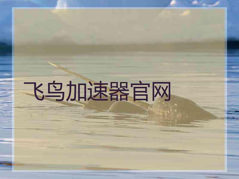 飞鸟加速器官网