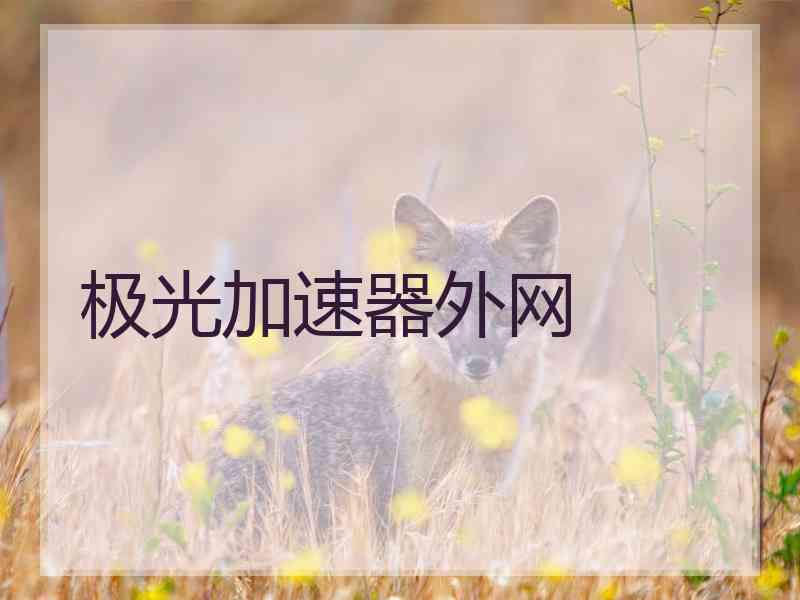 极光加速器外网