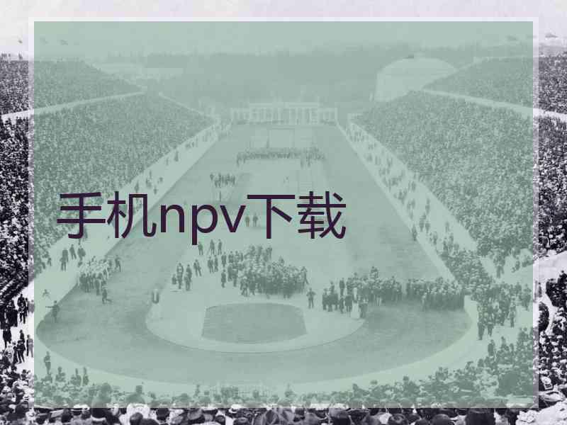 手机npv下载