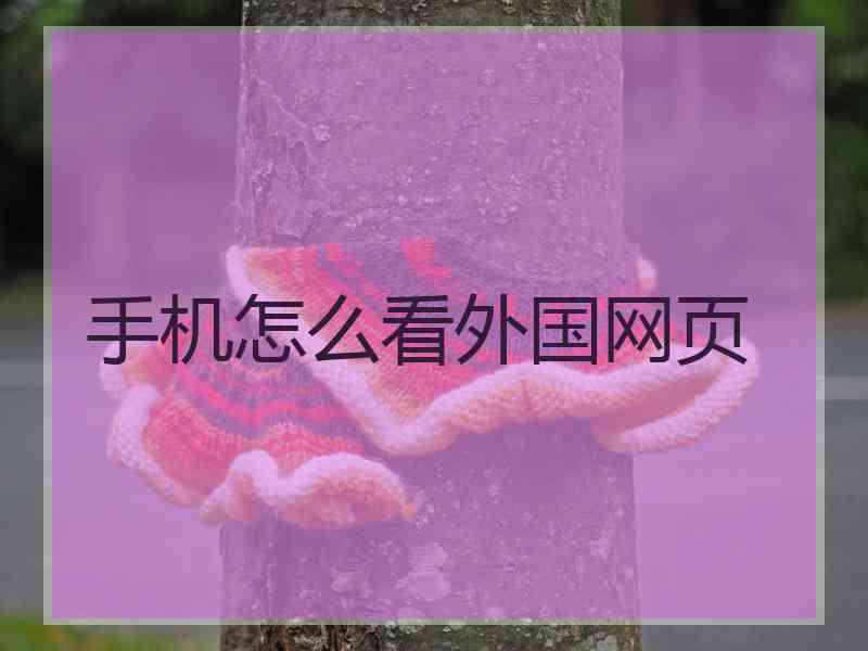 手机怎么看外国网页