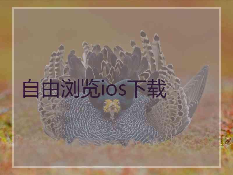 自由浏览ios下载