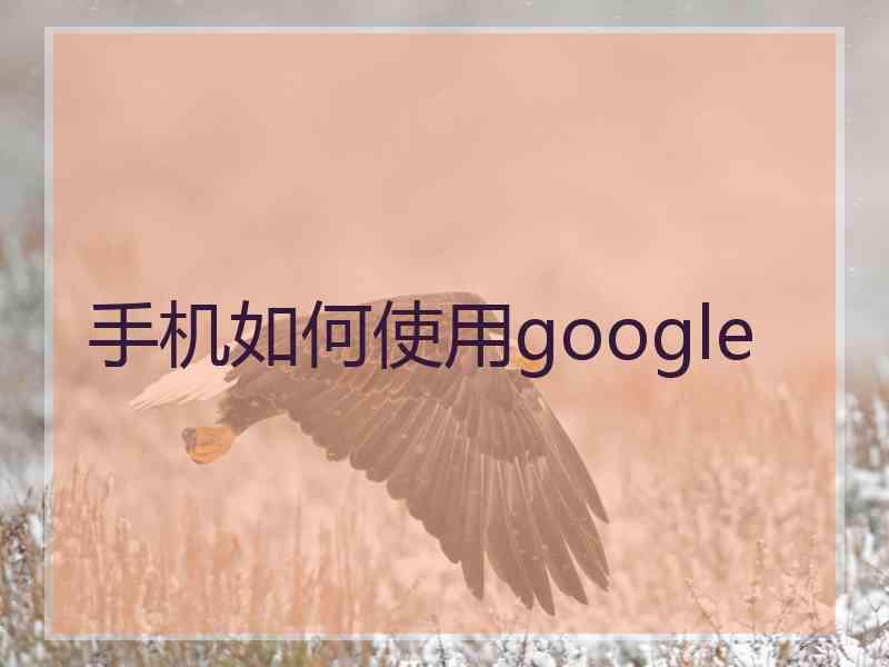 手机如何使用google