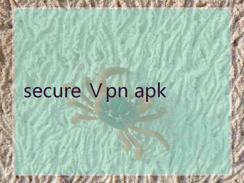 secure Ⅴpn apk
