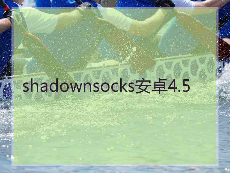 shadownsocks安卓4.5
