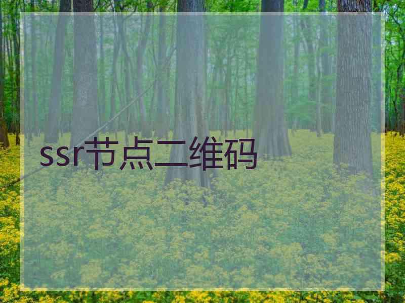 ssr节点二维码