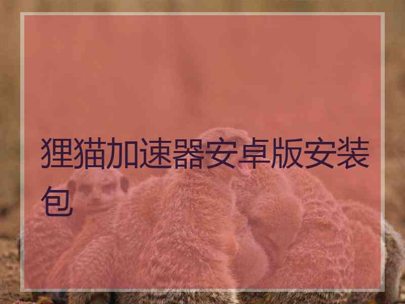 狸猫加速器安卓版安装包