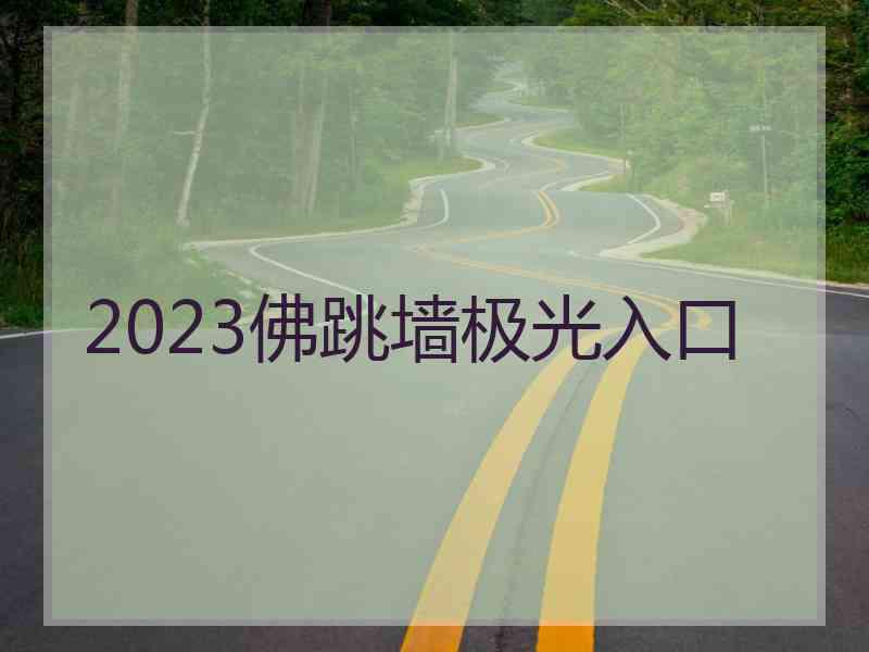 2023佛跳墙极光入口