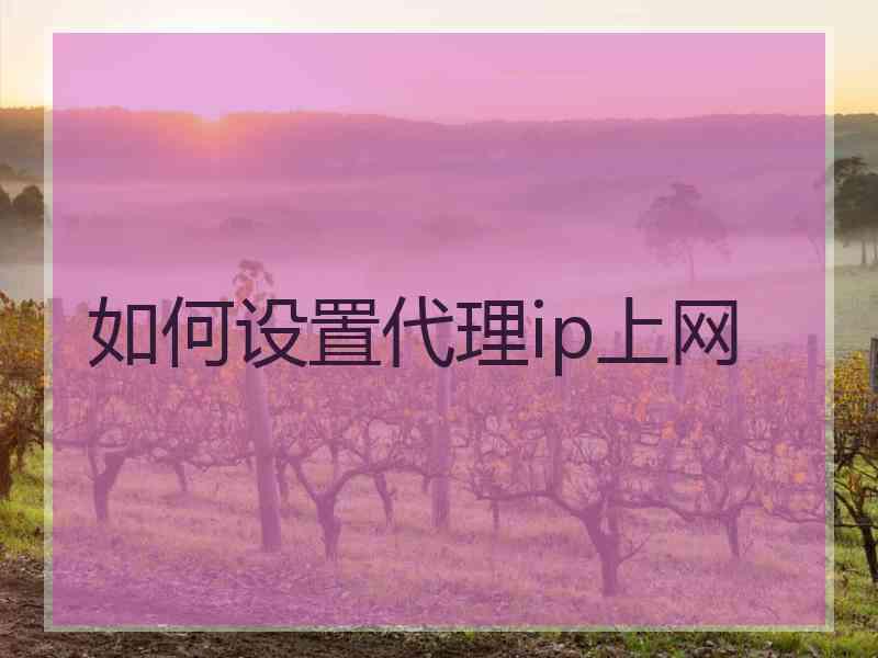 如何设置代理ip上网